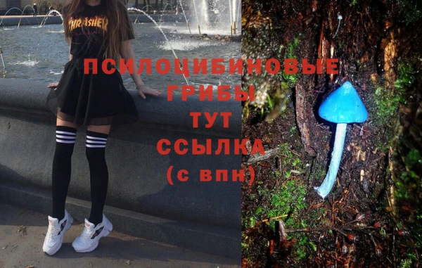 ПСИЛОЦИБИНОВЫЕ ГРИБЫ Липки