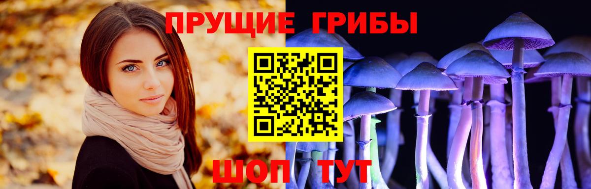 где купить наркоту  Вход с VPN  Геленджик  Галлюциногенные грибы мухоморы  Галлюциногенные грибы прущие грибы 
