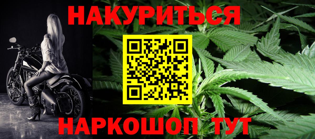 Конопля конопля Геленджик